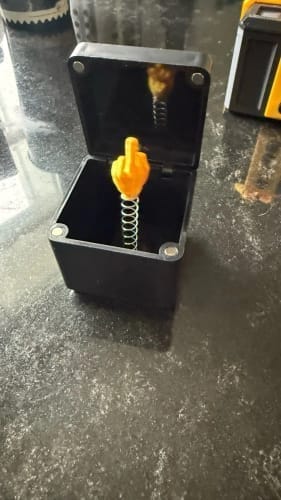 Customer photo review of Surprise Gift Box