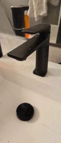 Customer photo review of Torneira Para Banheiro Monocomando Lavabo Modelo Royal Atlas
