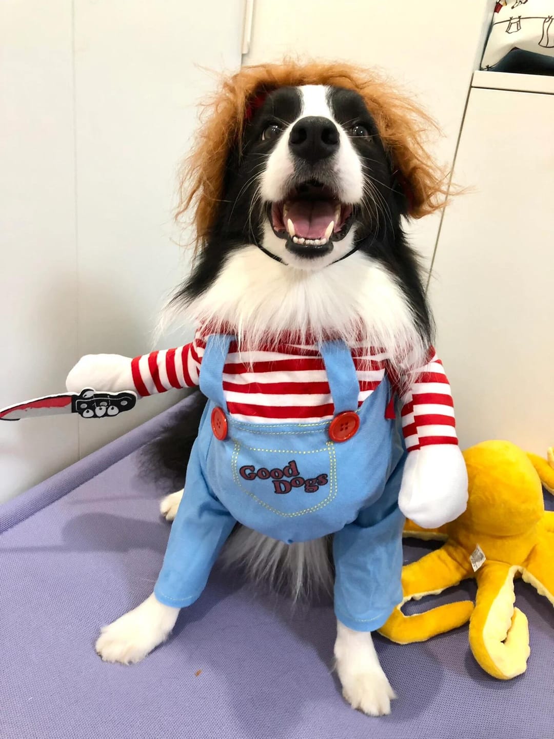 Customer photo review of Overalls with Knife Holder costume