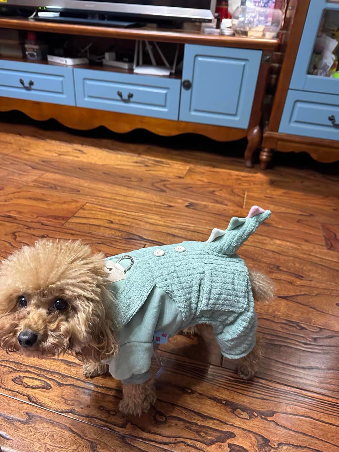 Customer photo review of Plush Dinosaur Jumpsuit