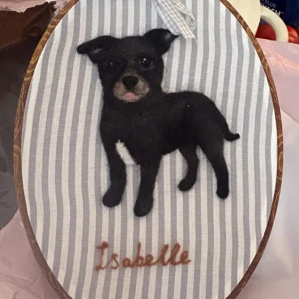 Customer photo review of Custom Wool Felt Pet Portrait Hoop