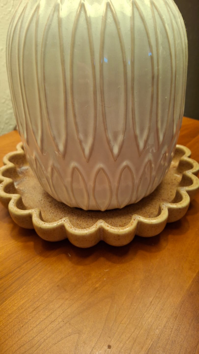 Customer photo review of Natural Scallop Dish