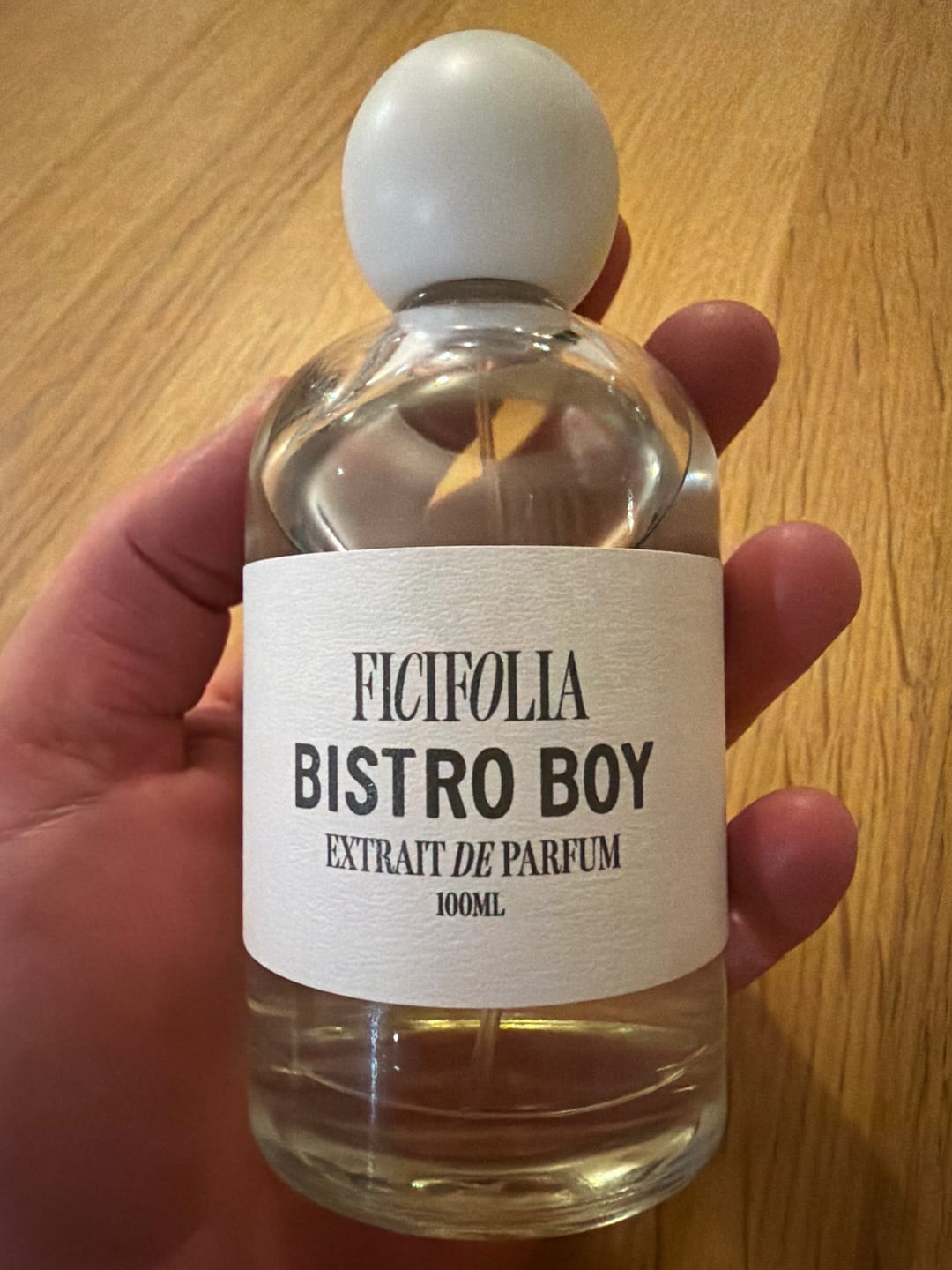 Customer photo review of BISTRO BOY ™