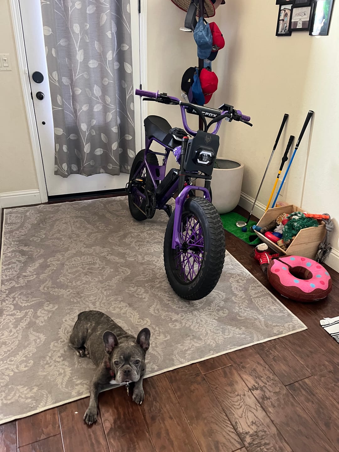Customer photo review of Macfox X7