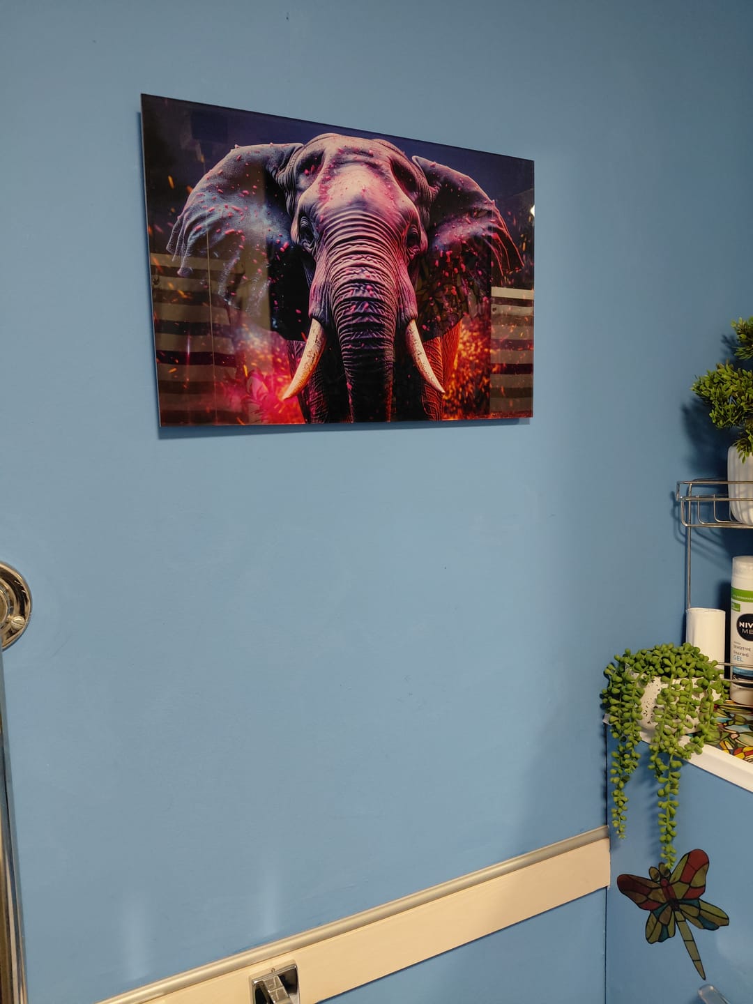 Customer photo review of Elephant in Colour
