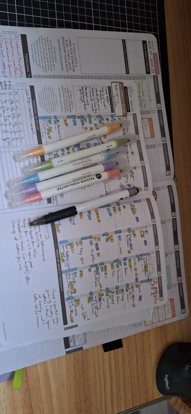 Customer photo review of Weekly 2026 Planner - Dusty Rose Hardcover