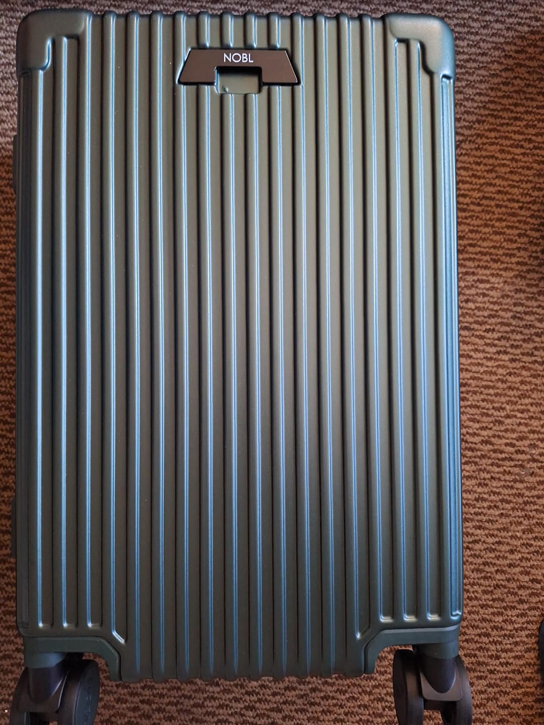 Customer photo review of Carry-On Classic 19"