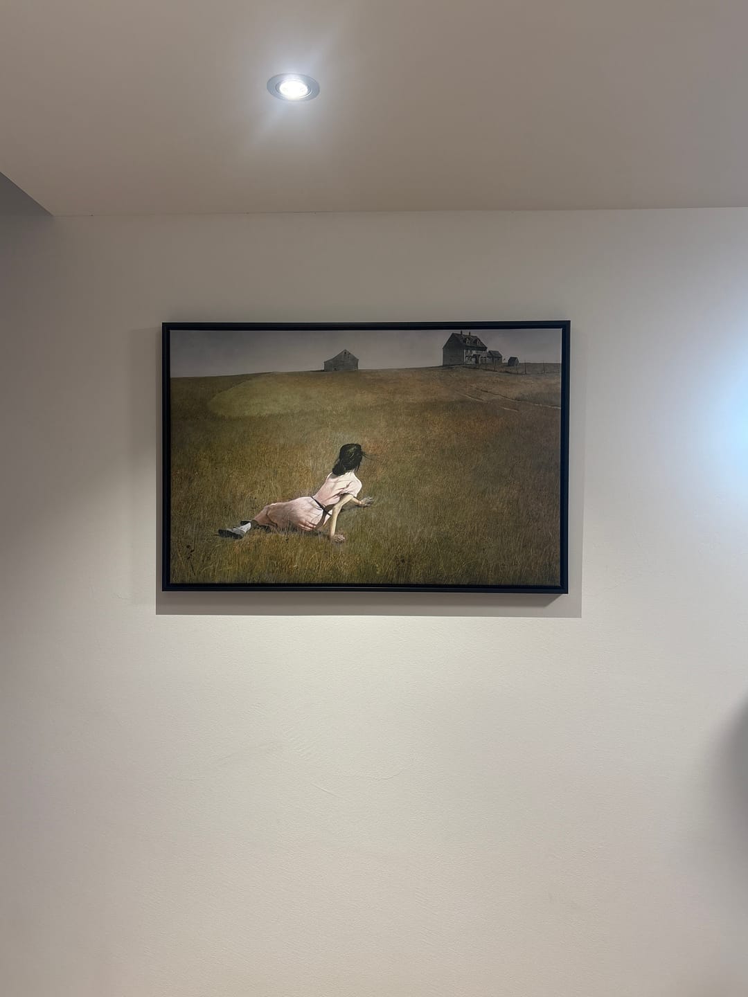 Customer photo review of Christina's World | Andrew Wyeth | 1948