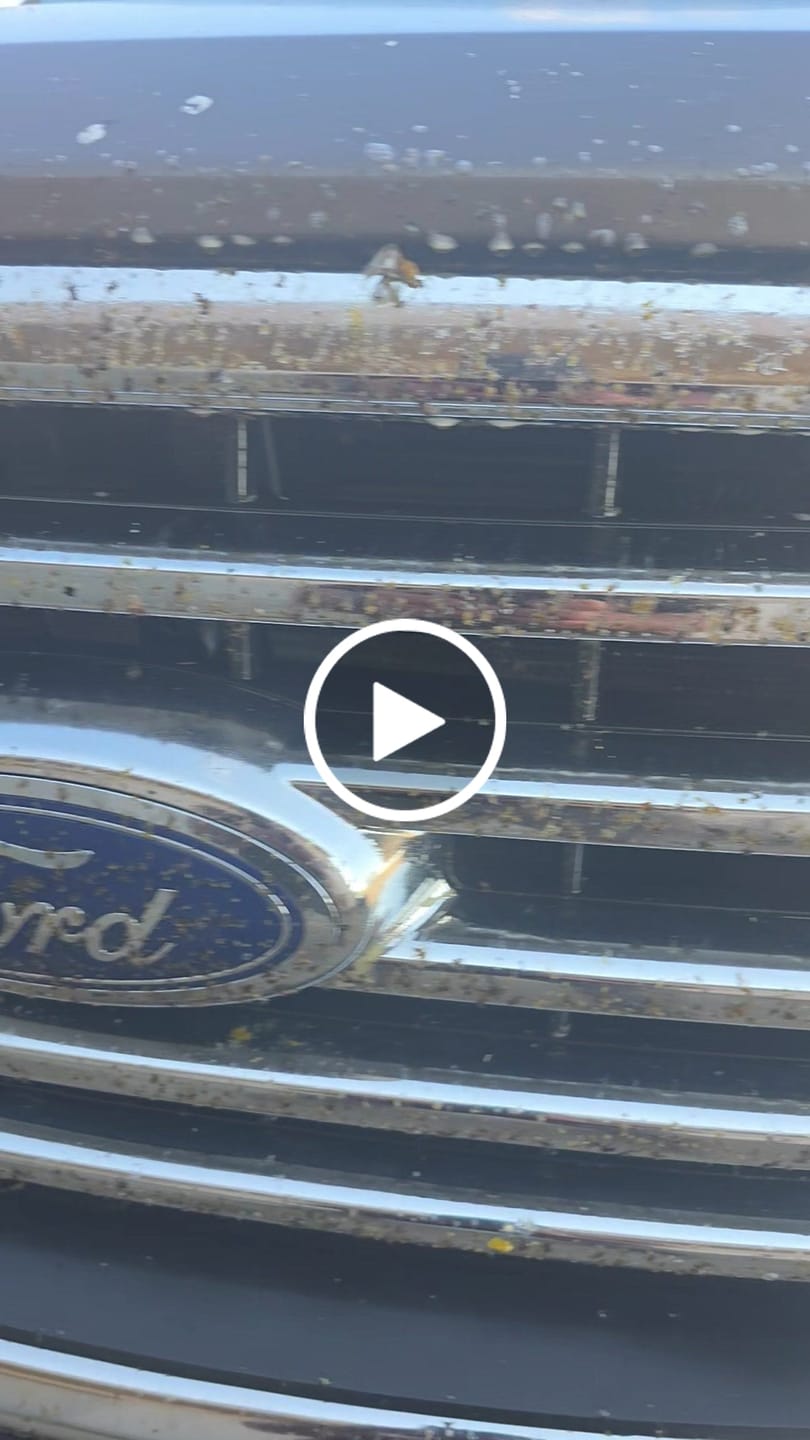 Customer video review of Insect Eraser