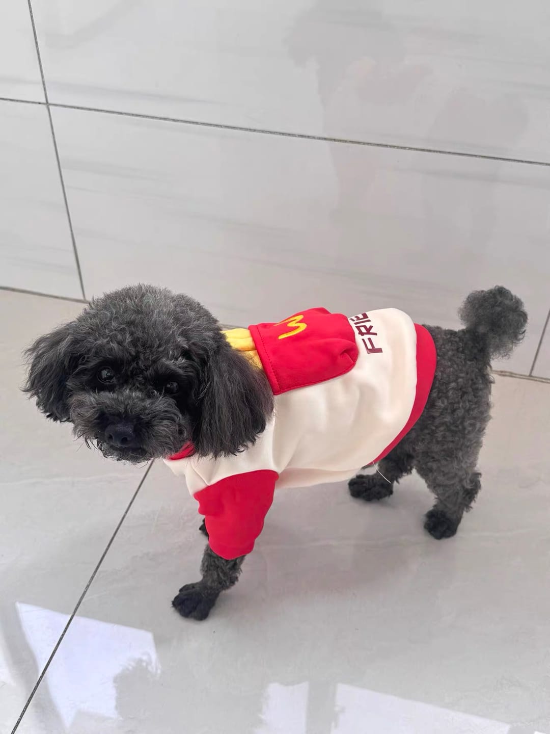 Customer photo review of Pocket French Fries Hoodie Costume