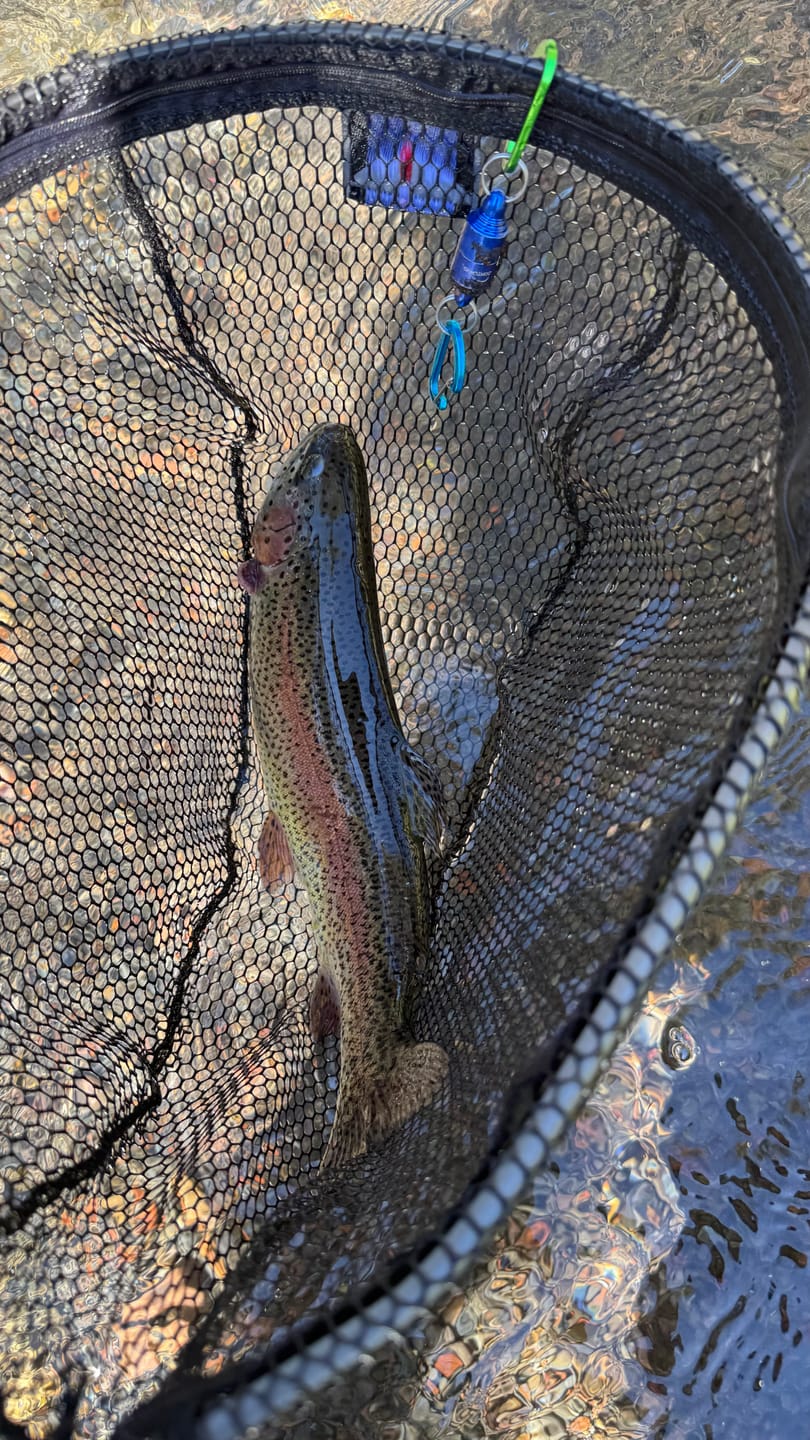 Customer photo review of Redington Field Kit Euro