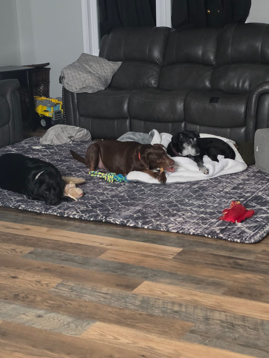 Customer photo review of Designer Relax Mat - 1.4" Thick Foam Base