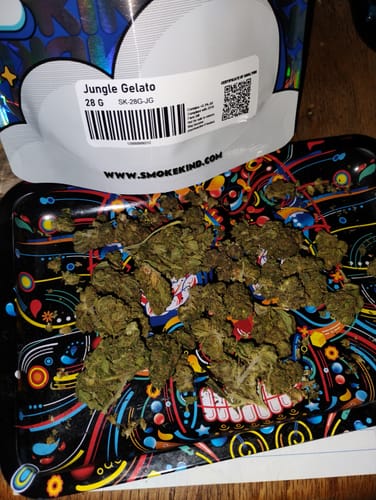 Jungle Gelato - 28 Gramm - Indica photo review