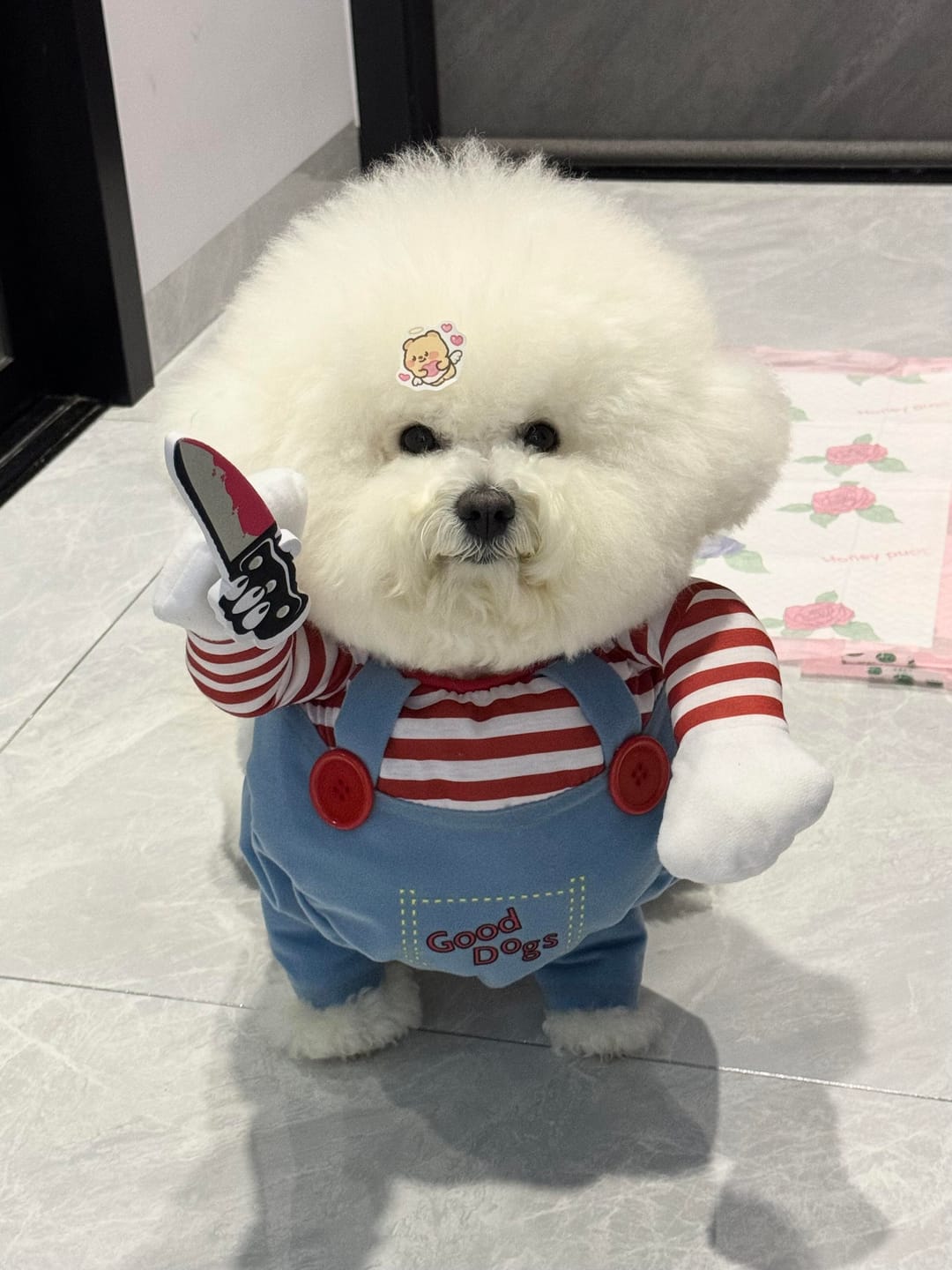 Customer photo review of Overalls with Knife Holder costume