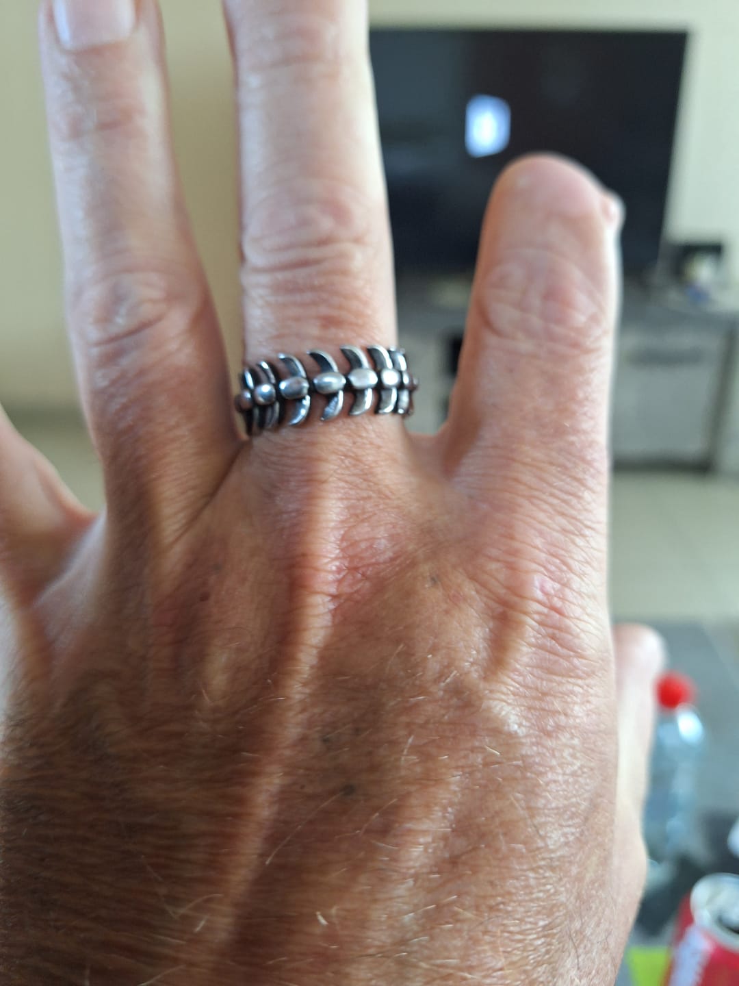 Customer photo review of STEEL SPINE.