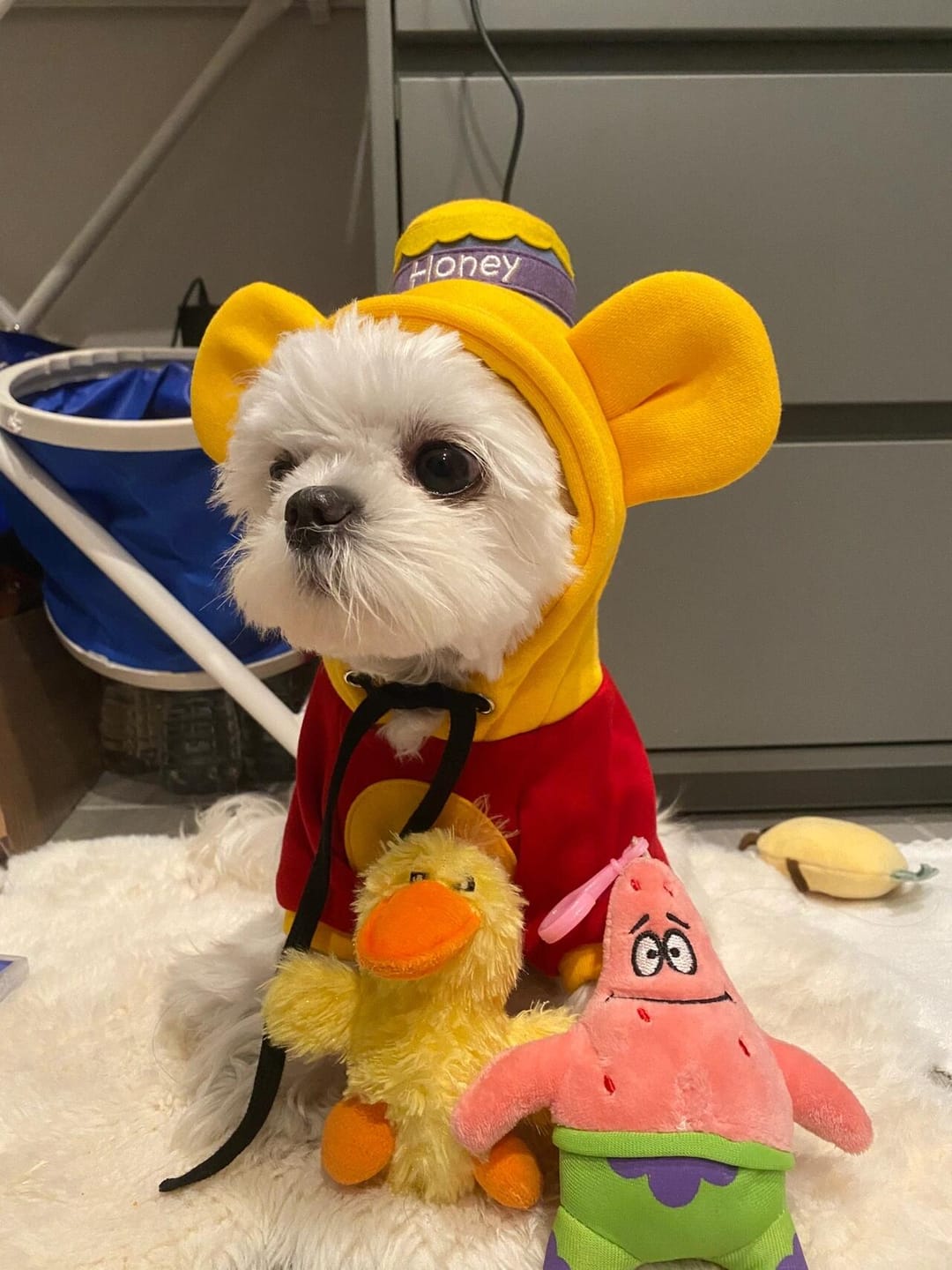 Customer photo review of Pet Sweatshirt Warm Fleece Cosplay Hoodies