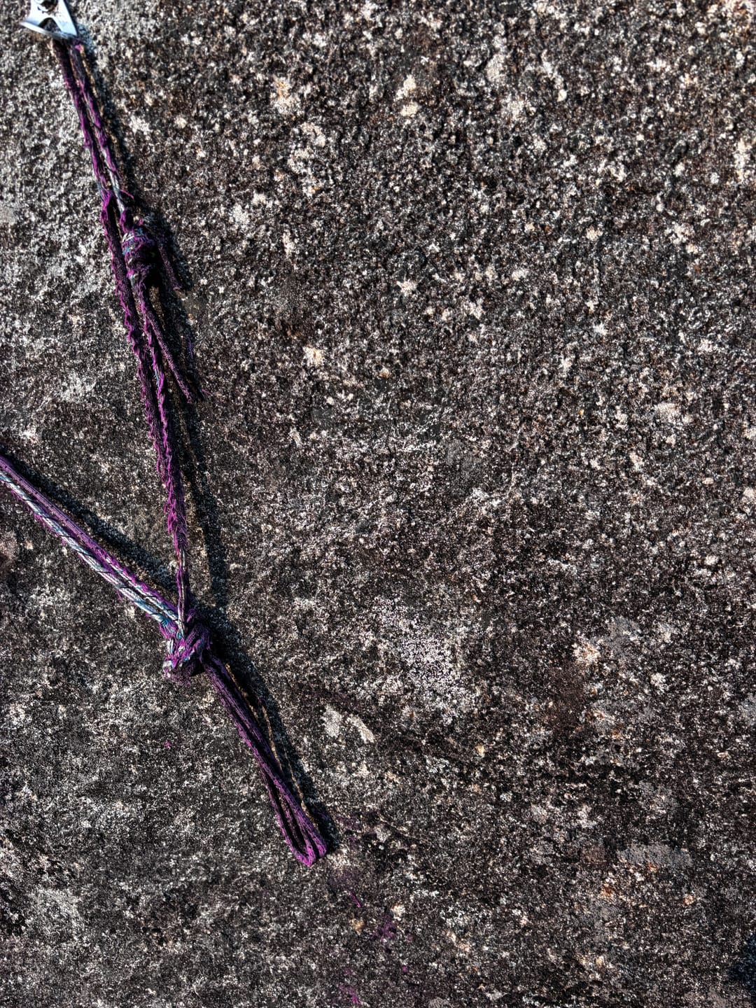 Customer photo review of 9.0 Volta Guide Dry Rope (per meter)