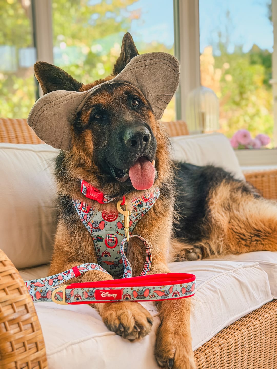 Customer photo review of Disney© Tough Trails™ Harness - Dumbo