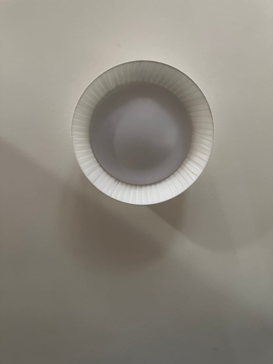 Customer photo review of Milano Ceiling Light