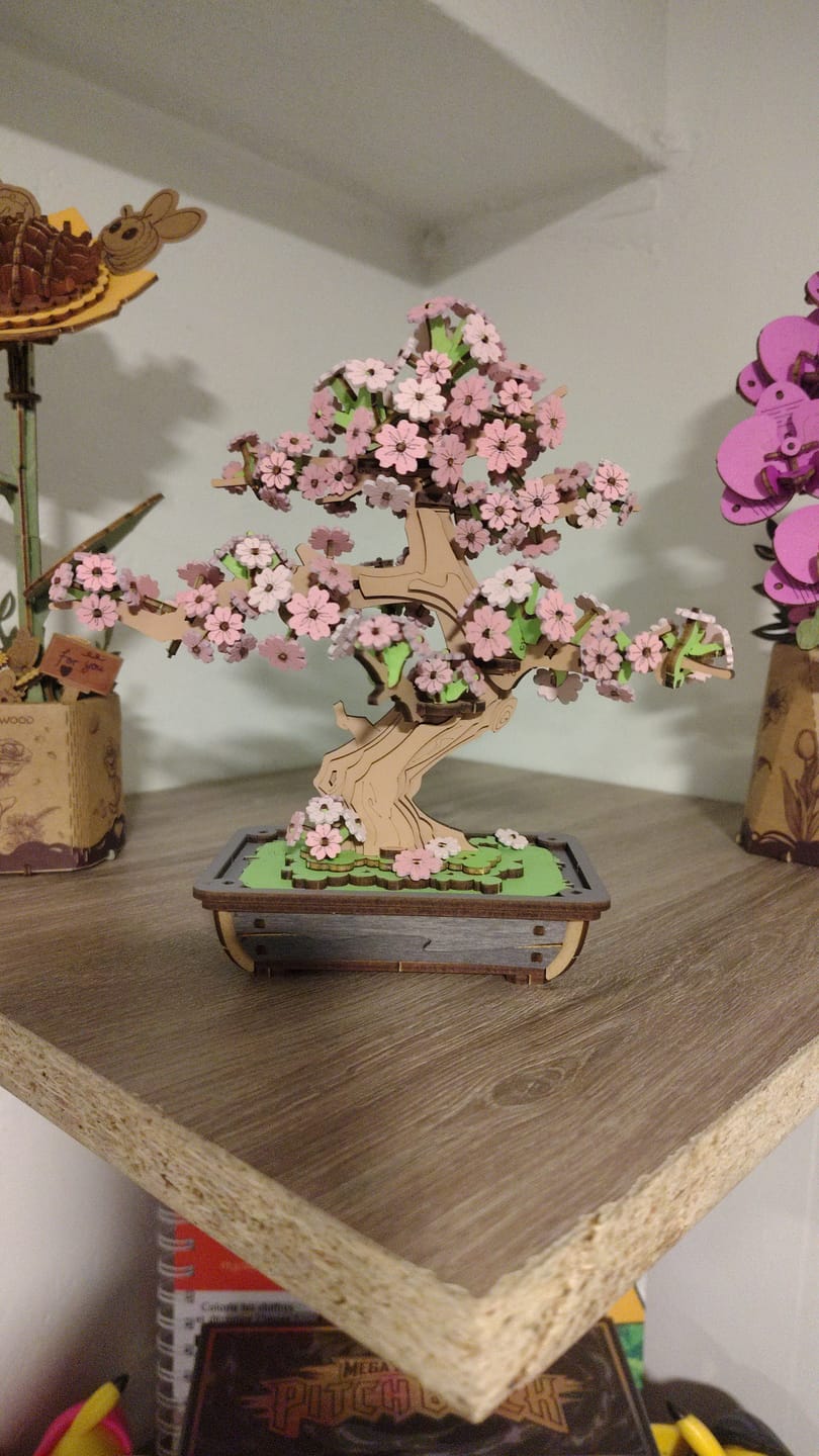 Customer photo review of Sakura Bonsai - Rompecabezas 3D - Maqueta de Madera Rolife