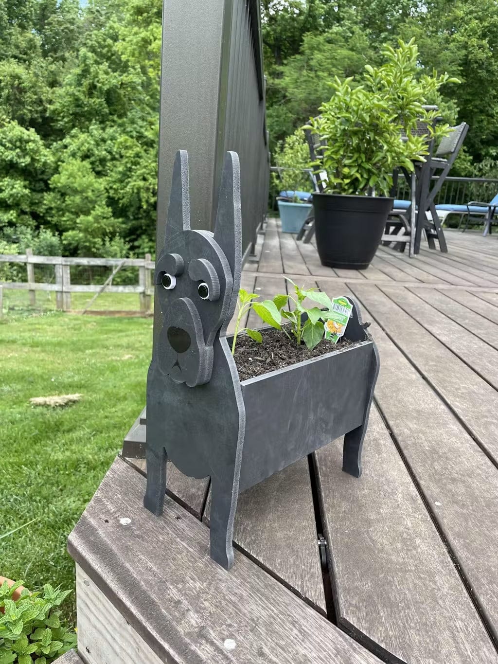 Customer photo review of Dog Planter - Great Dane