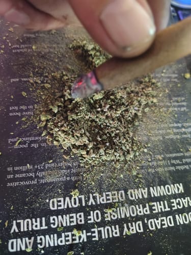 Jungle Gelato - 28 Gramm - Indica photo review