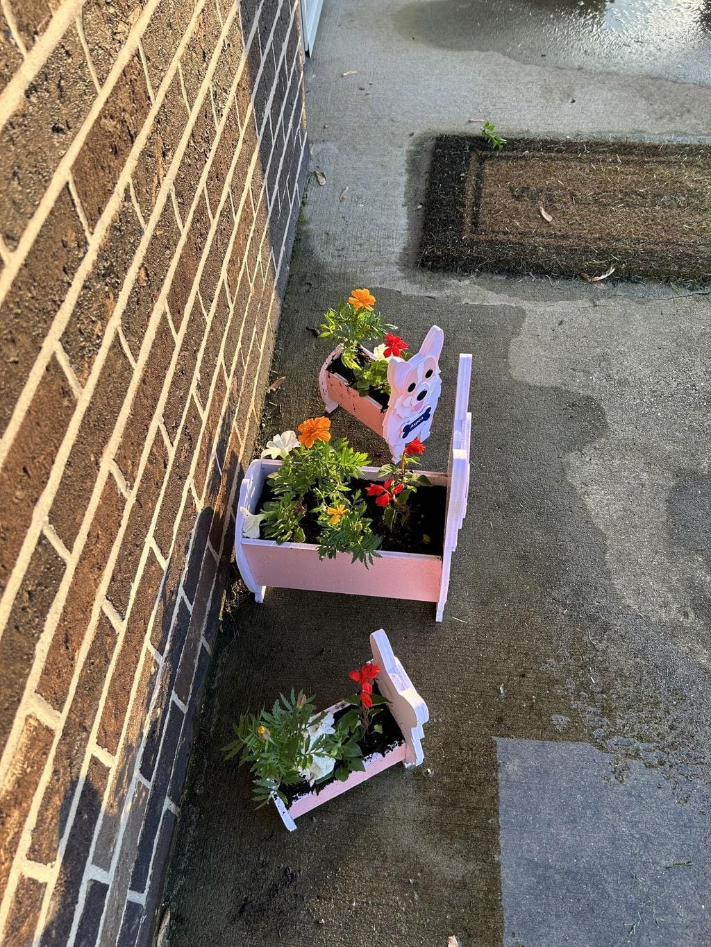 Customer photo review of Dog Planter - Corgi