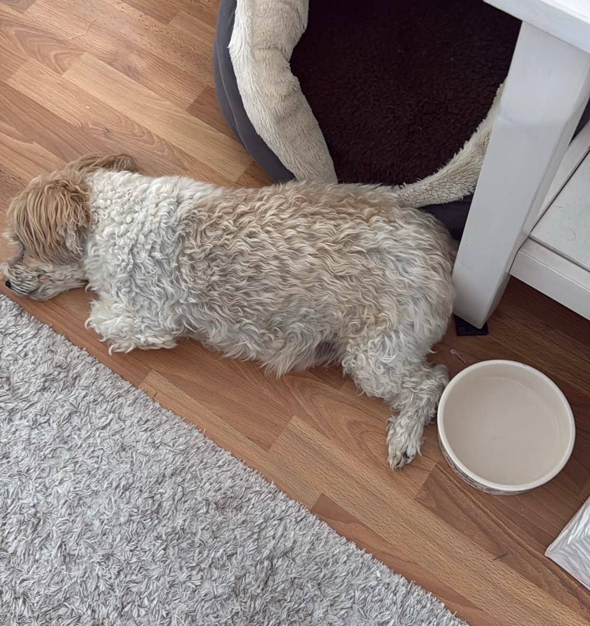 Customer photo review of Gemüsemix-Topping für Hunde
