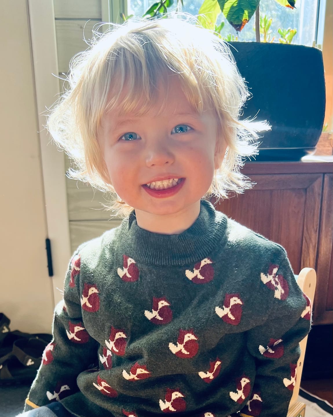 Customer photo review of From One To Another Fox Knitted Jumper