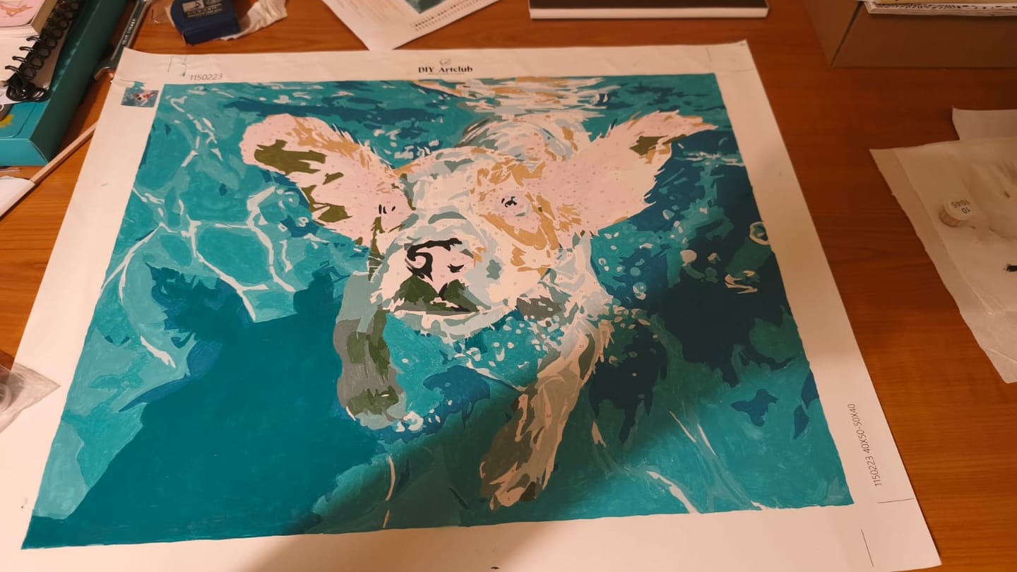 Customer photo review of Underwater swimmer | Paint by Number