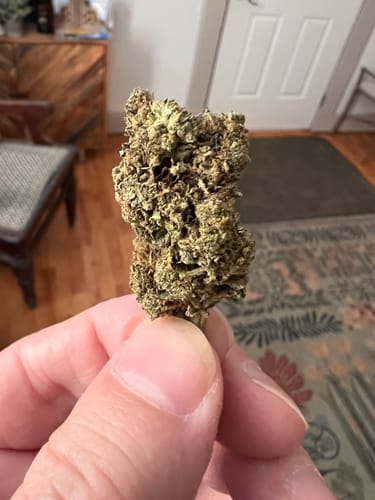 Hashburger - 14 Grams - Indica photo review