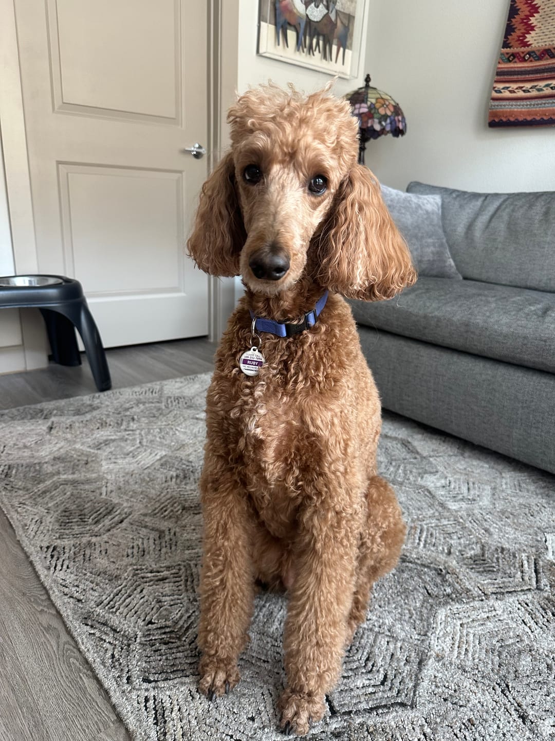 Customer photo review of HealthyMouth® Water Additive For Dogs (Clinically Proven, VOHC Accepted)