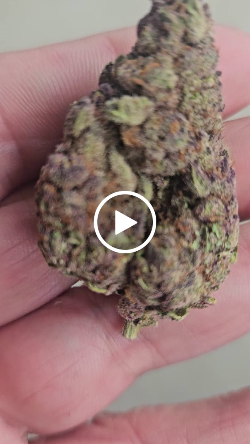 Customer video review of Granddaddy Purple - Minis - 28 Grams - Indica