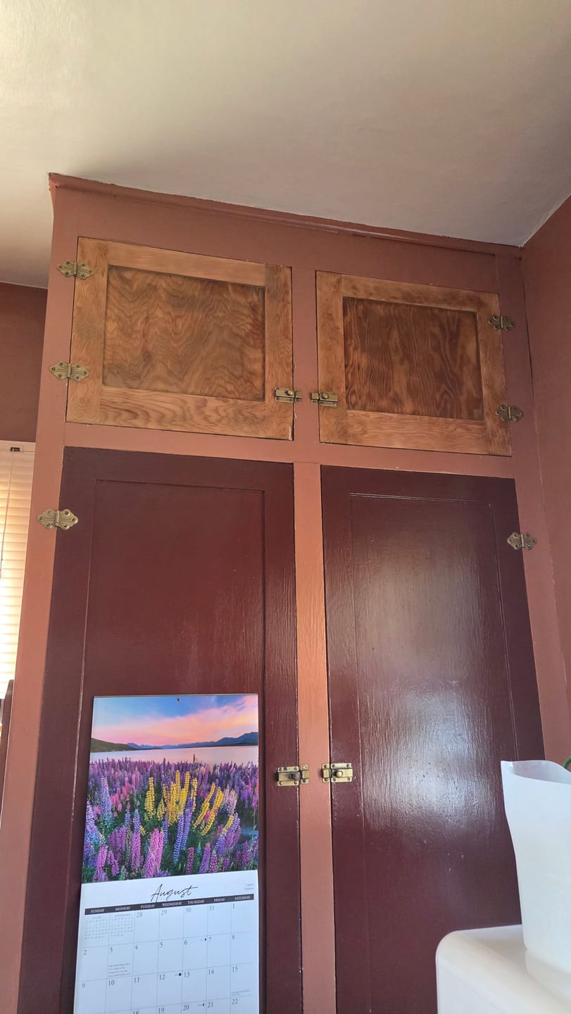 Customer photo review of Furniture Stripper Kit