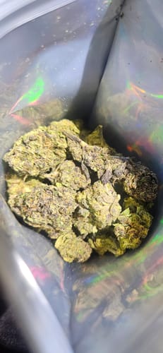 Jealousy - 28 Gramm - Hybrid photo review