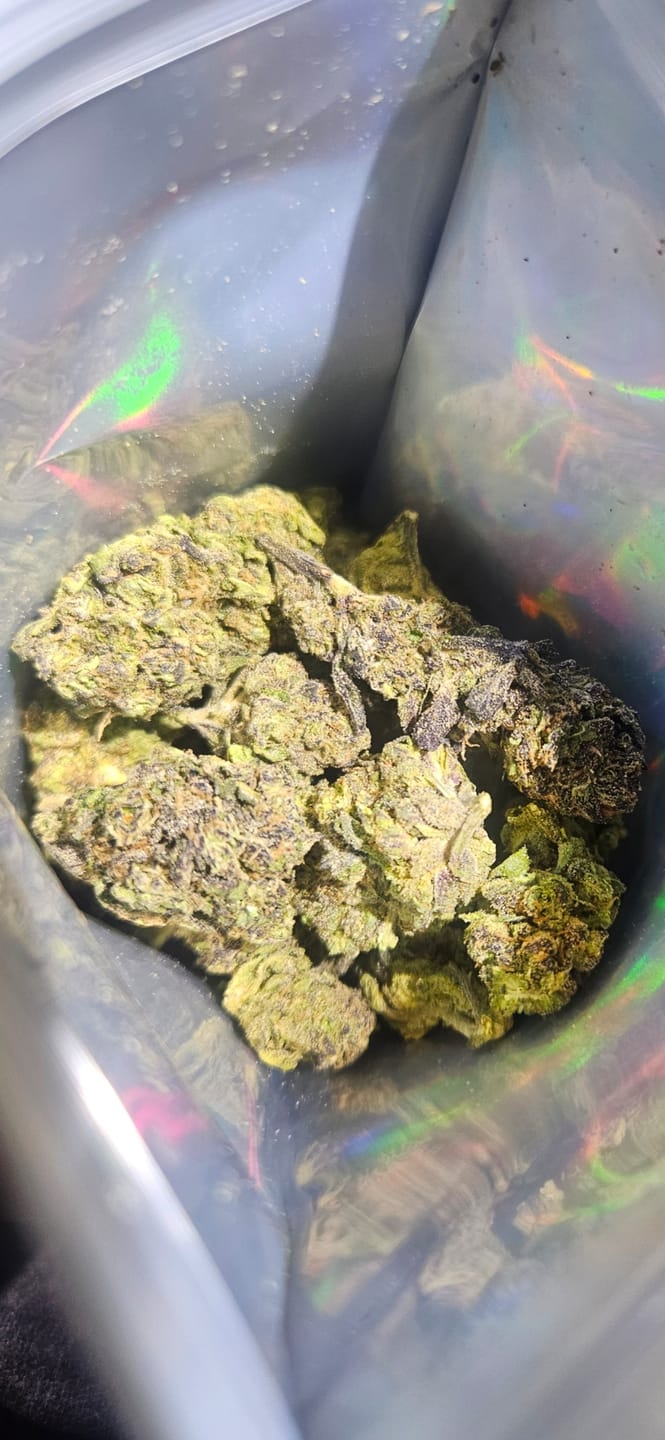 Customer photo review of Jealousy - 28 Grams - Hybrid