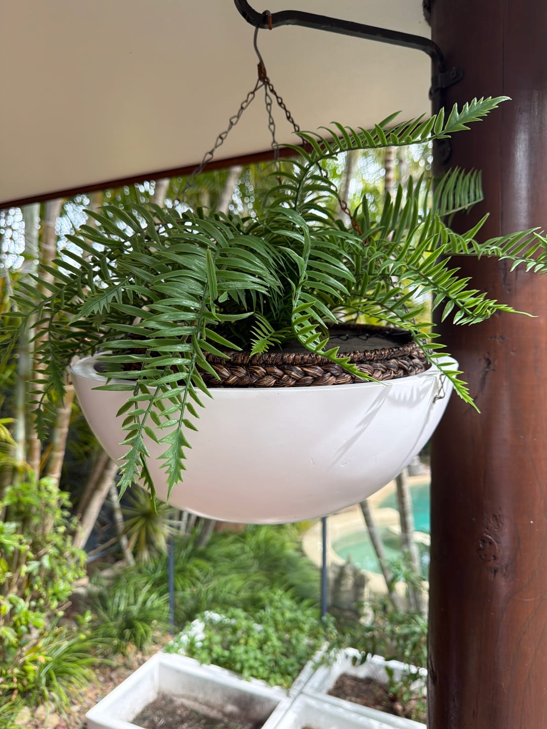 Customer photo review of Large Artificial Hanging Basket (Fern Hanging Basket) UV Resistant