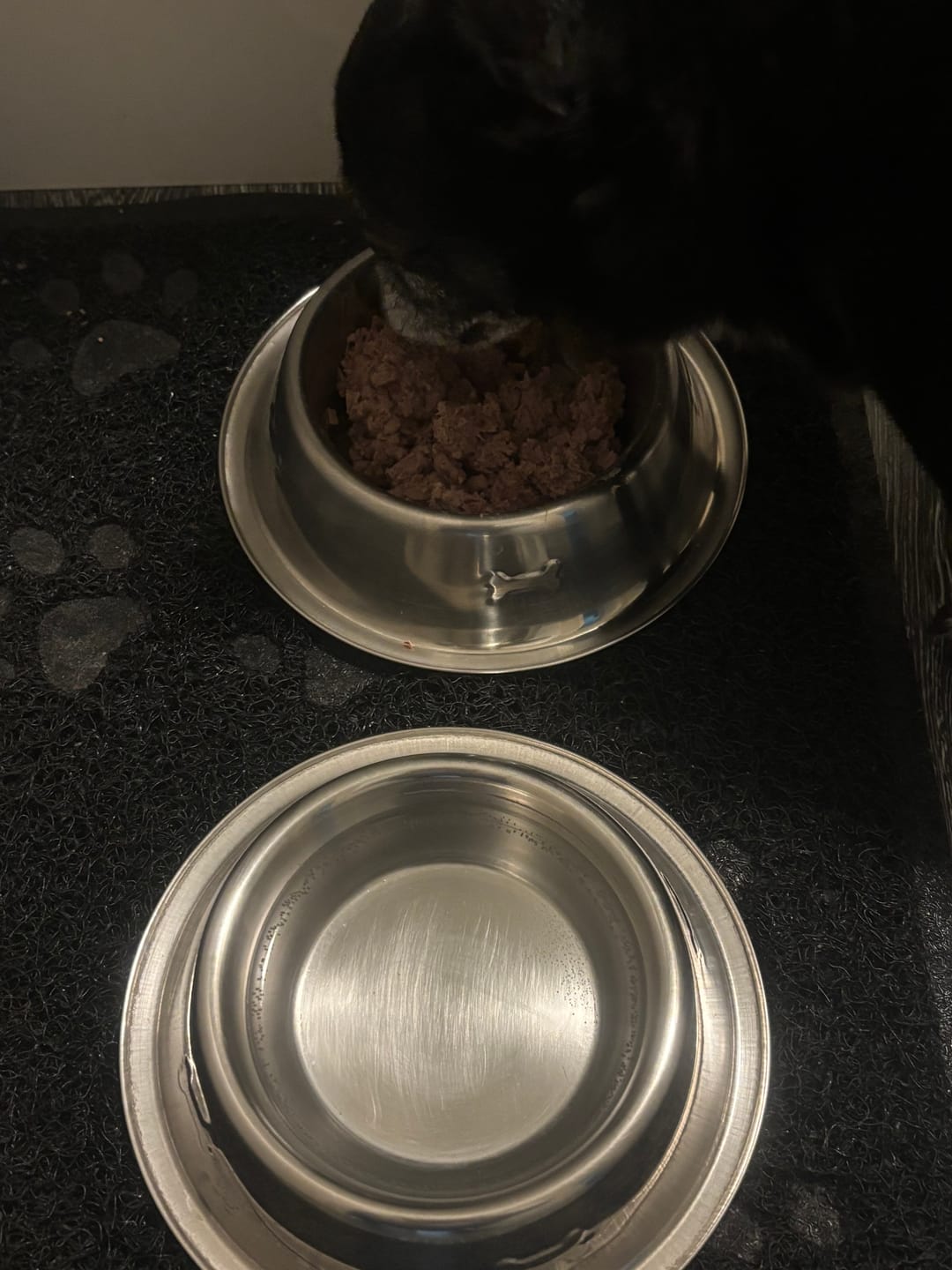 Customer photo review of Frischfutter für Energiebedarf von 238 kCal/Tag