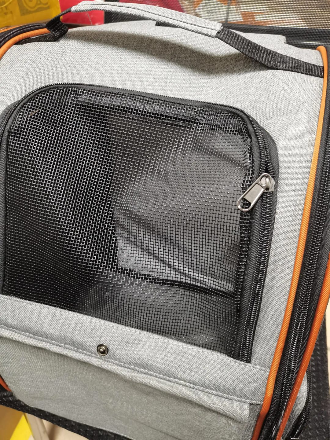 Customer photo review of Mochila Expandible para Gatos Medianos y Perros de Raza Pequeña