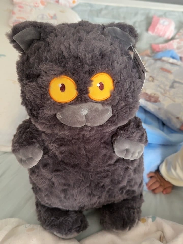 Customer photo review of Einstein Cat