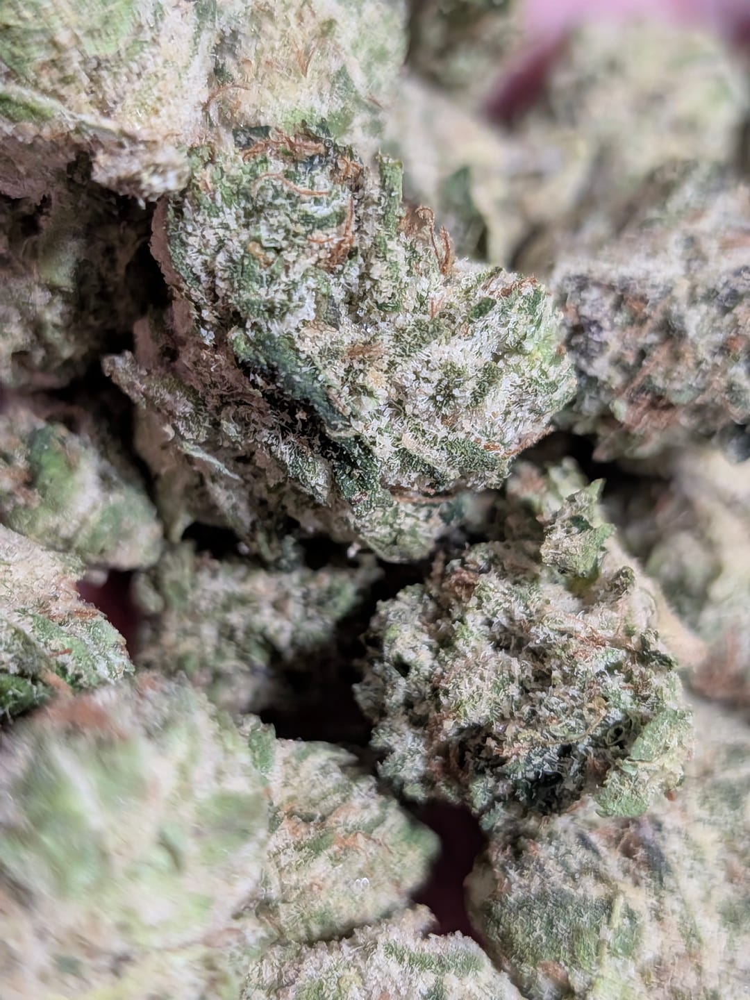 Customer photo review of Zkittlez THCA Flower (Budget)