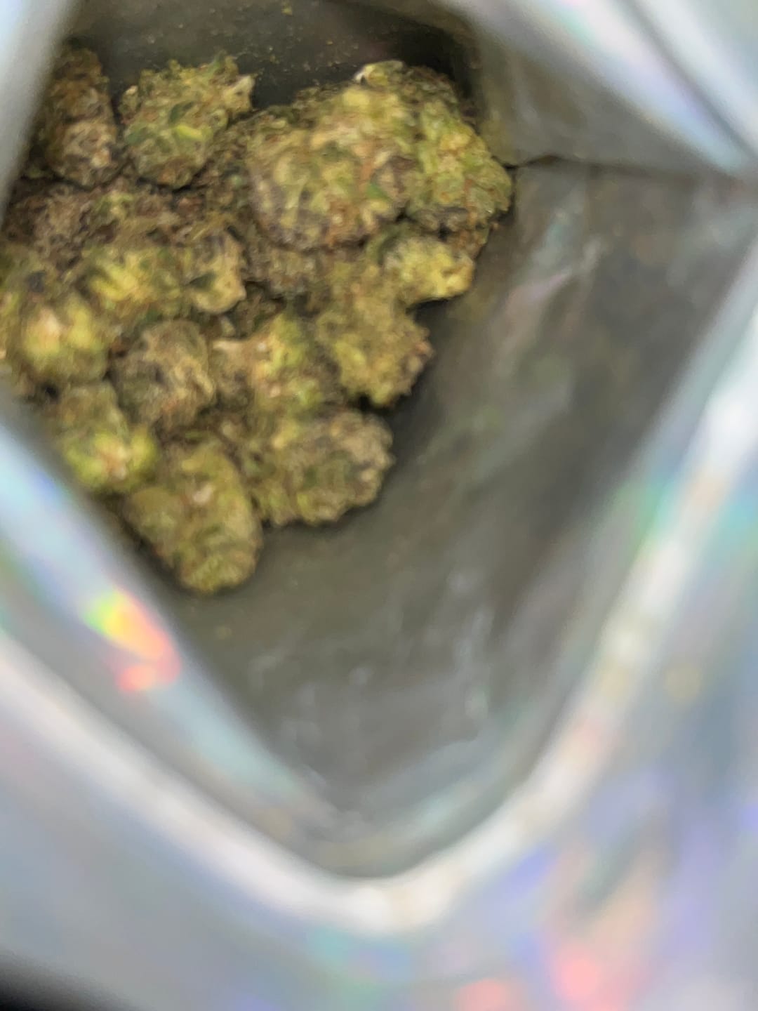 Customer photo review of Elite Boutique Exotic Zooties - Bulk - Hybrid