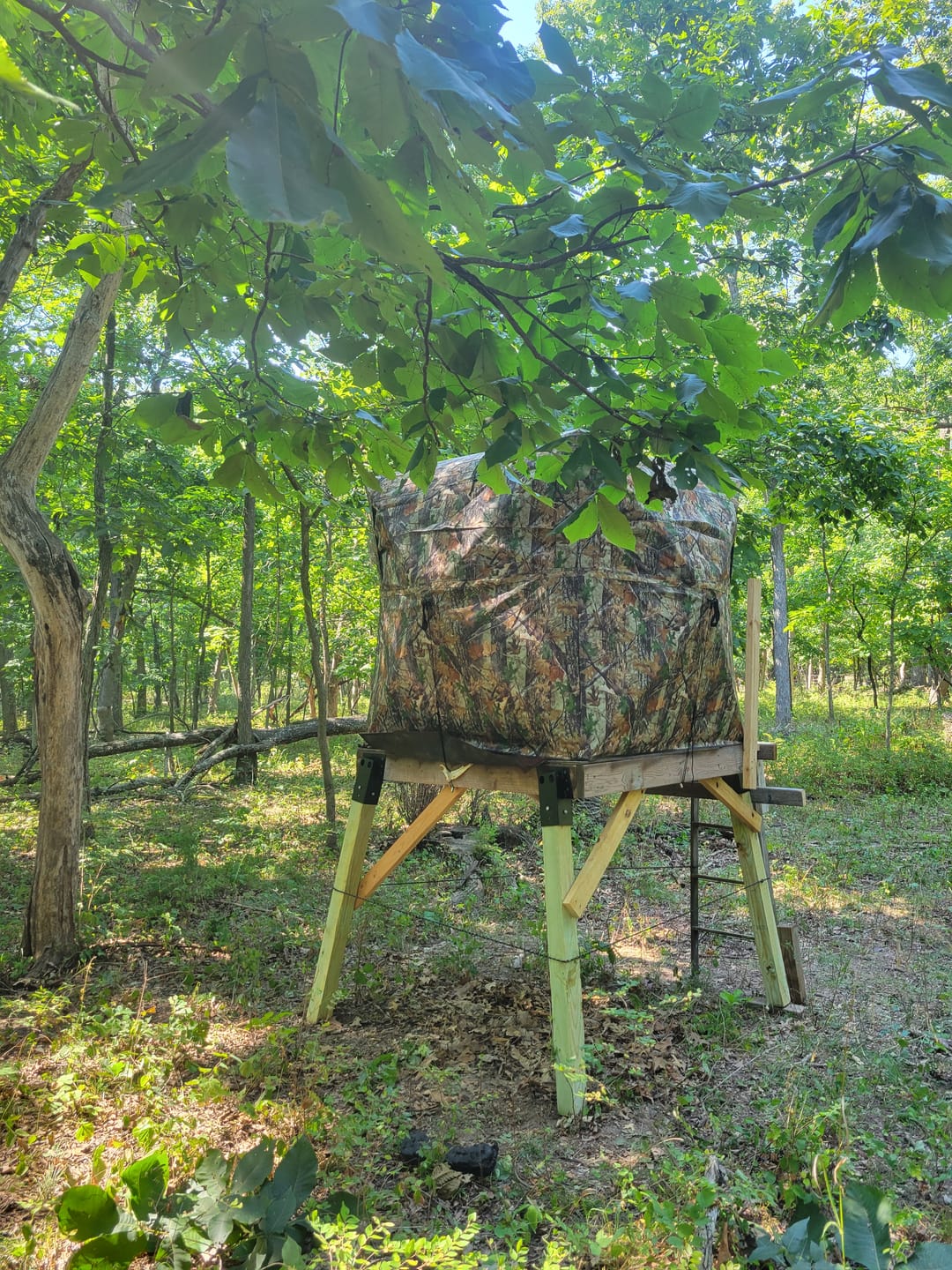 Customer photo review of Vis Series 270 Degree See Through Hunting Blind | Portable 2 3 4 Person Ground Blind | Camo Pop Up Deer Blind for Deer & Hunters