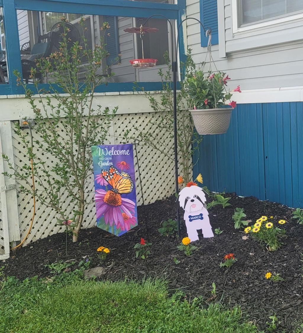 Customer photo review of Dog Planter - Shih Tzu
