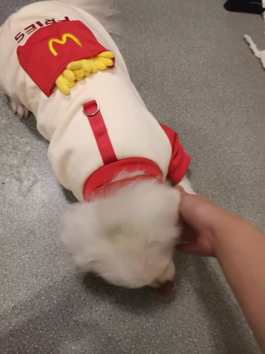 Customer photo review of Pocket French Fries Hoodie Costume