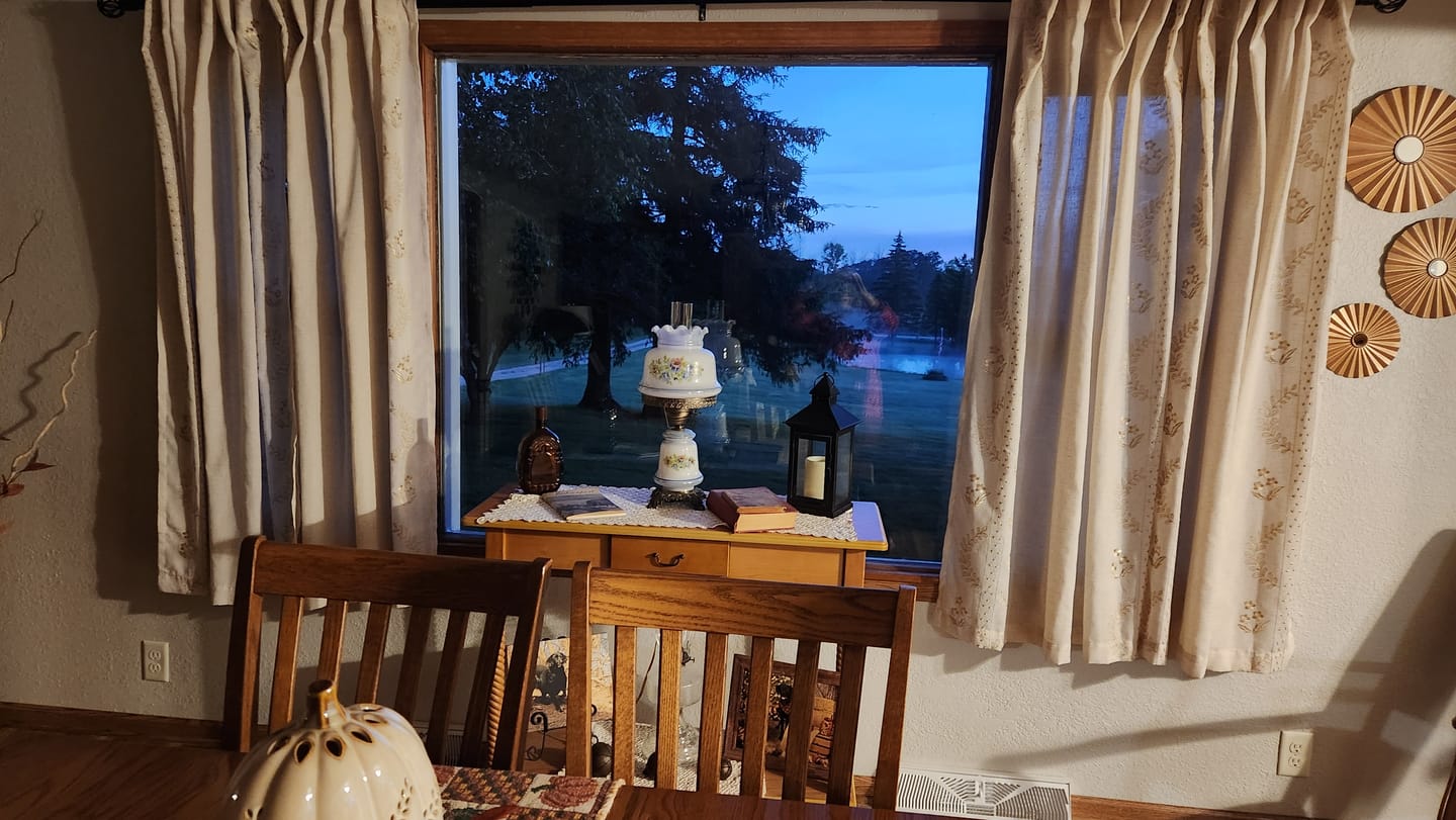 Customer photo review of Embroidered Vine Floral Linen Curtains (2 Panels)