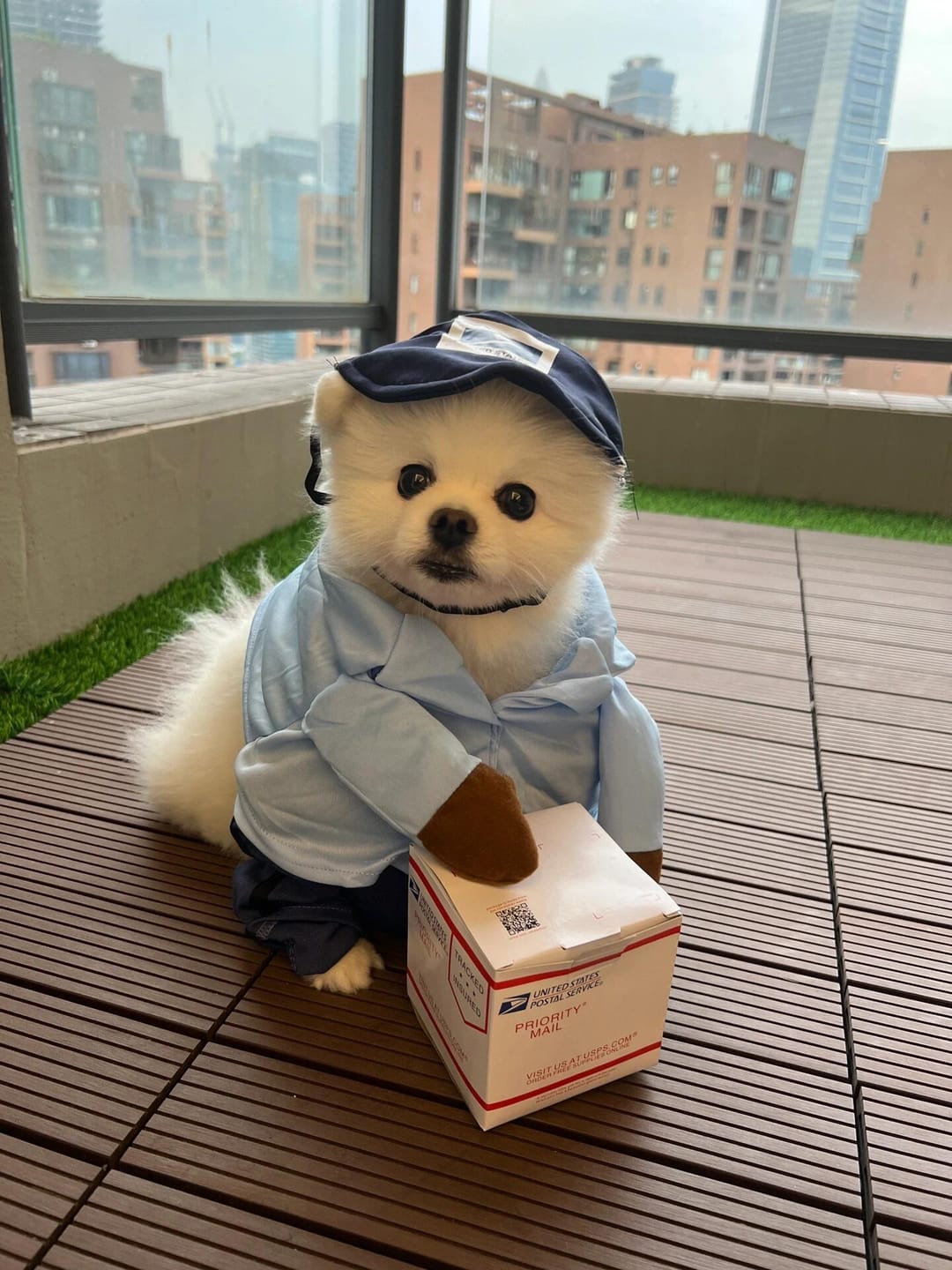 Customer photo review of Dog Mail Carrier Costume USPS