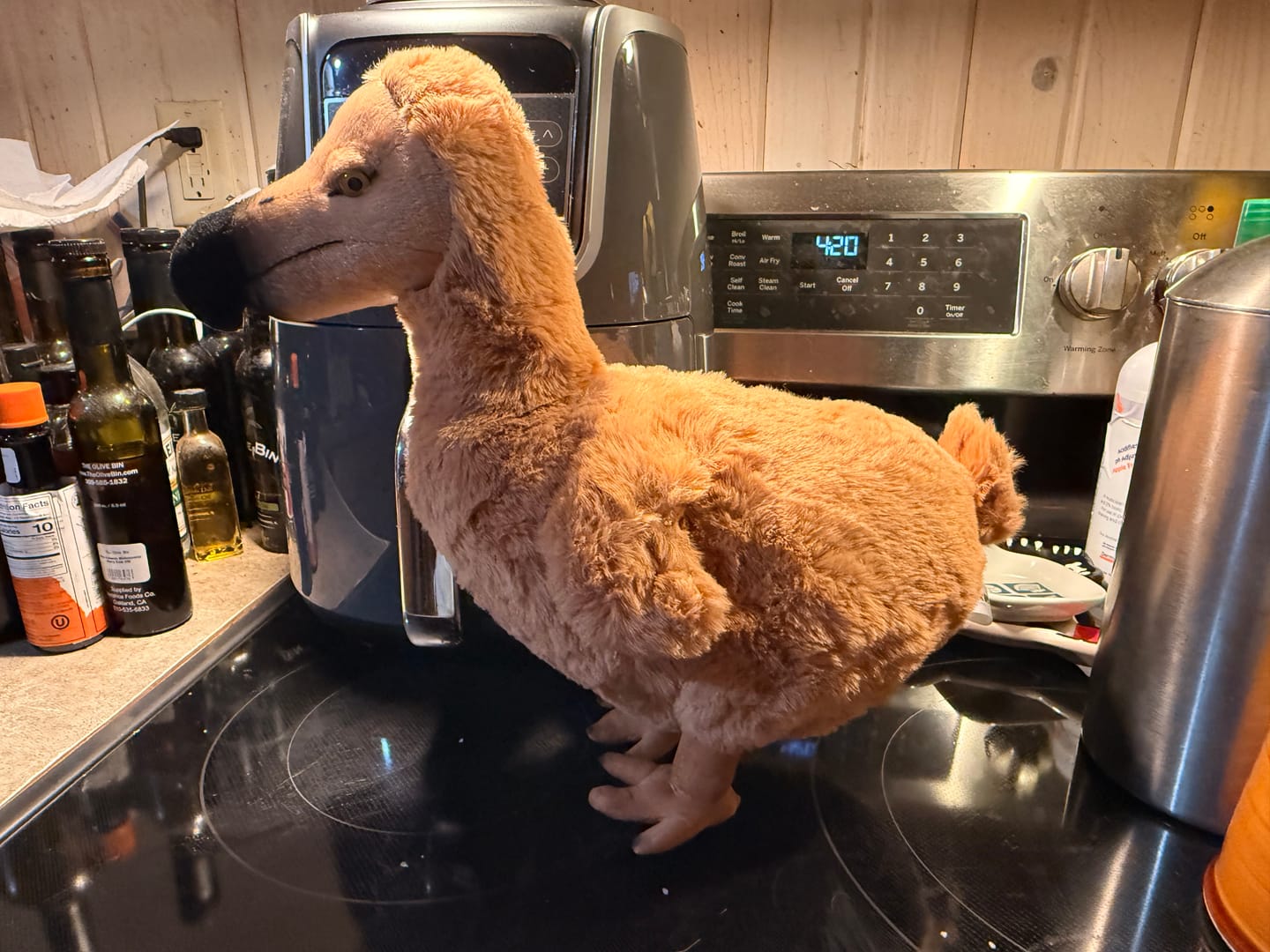 Customer photo review of Dodo Bird Soft Stuffed Plush Toy