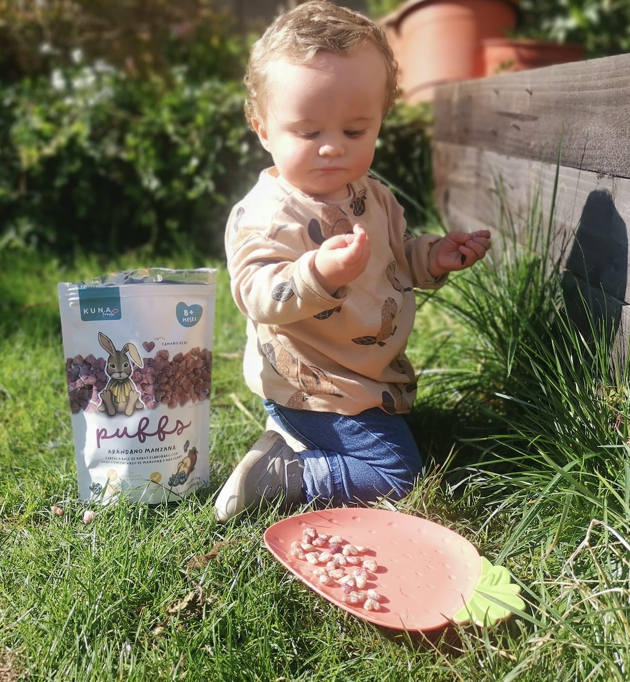Customer photo review of Puffs Manzana Arándano Individual