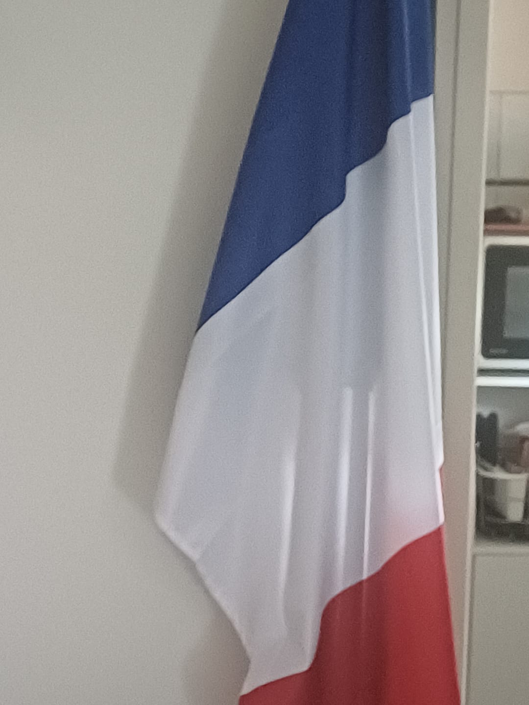 Customer photo review of Drapeau - Français